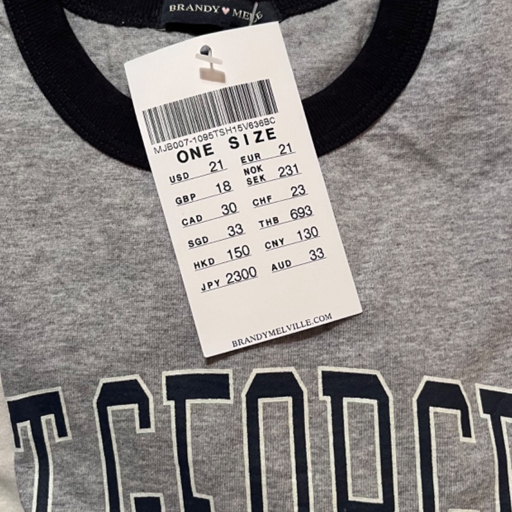 Brandy Melville Grey St. George Tshirt
